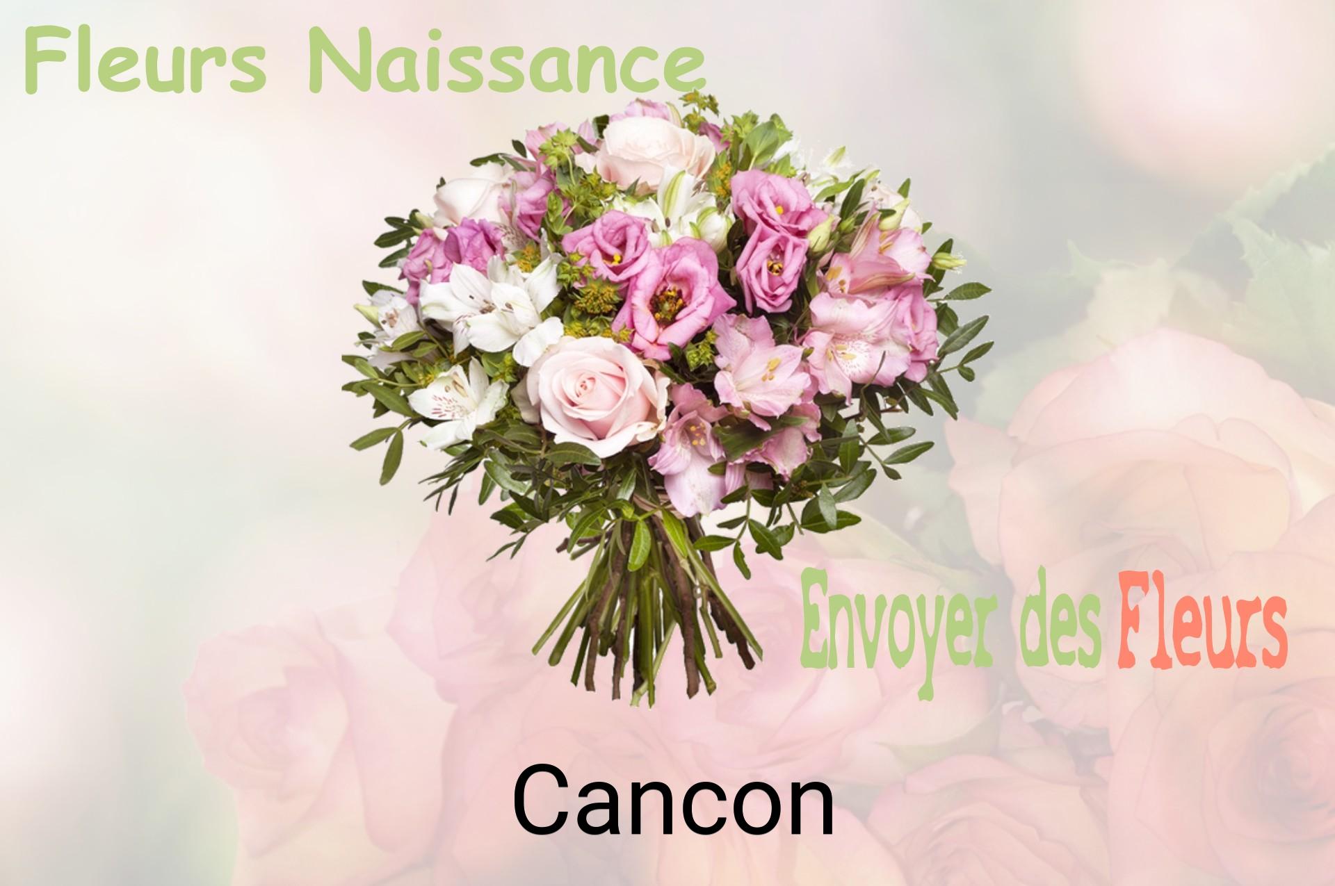 Bouquet de fleurs de naissance livré à Cancon