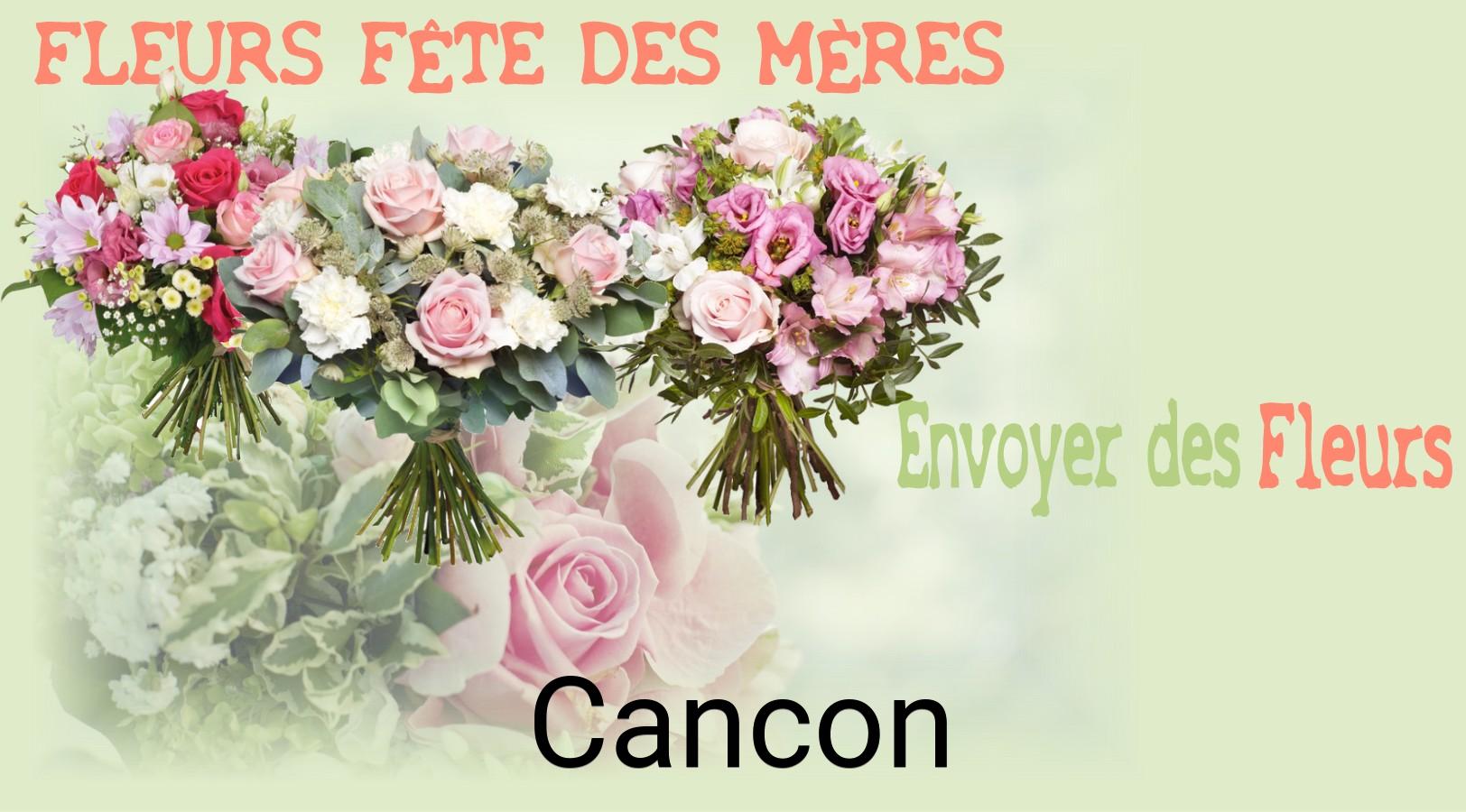 Bouquet de Fête des Mères livré à Cancon
